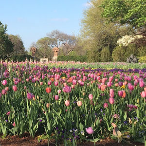Meet your Posher, Catherine